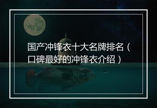 国产冲锋衣十大名牌排名（口碑最好的冲锋衣介绍）