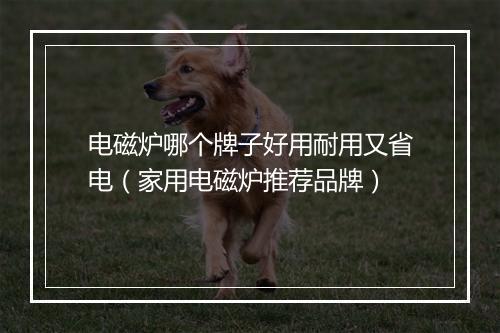 电磁炉哪个牌子好用耐用又省电（家用电磁炉推荐品牌）