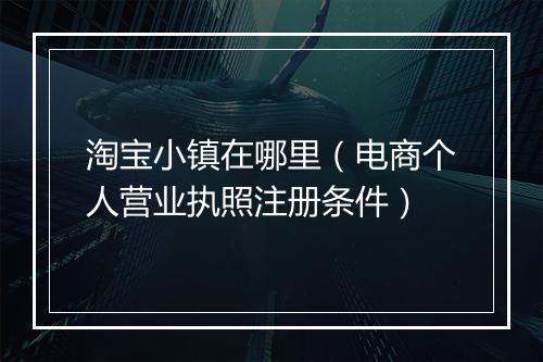 淘宝小镇在哪里（电商个人营业执照注册条件）