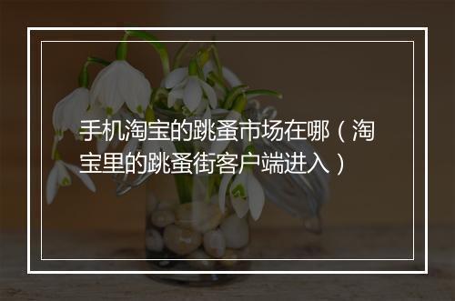 手机淘宝的跳蚤市场在哪（淘宝里的跳蚤街客户端进入）