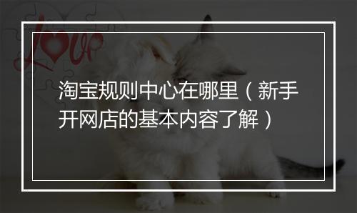 淘宝规则中心在哪里（新手开网店的基本内容了解）