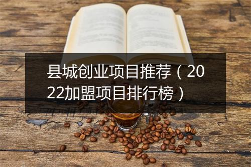 县城创业项目推荐（2022加盟项目排行榜）