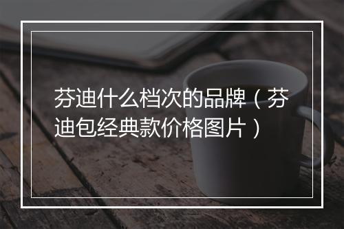 芬迪什么档次的品牌（芬迪包经典款价格图片）