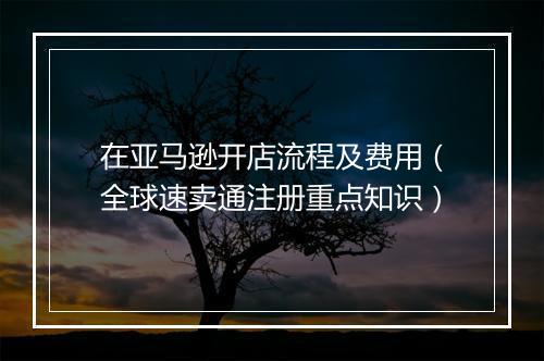在亚马逊开店流程及费用（全球速卖通注册重点知识）