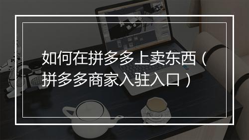 如何在拼多多上卖东西（拼多多商家入驻入口）