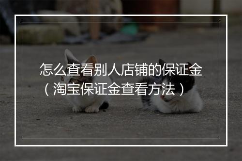 怎么查看别人店铺的保证金（淘宝保证金查看方法）
