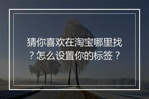 猜你喜欢在淘宝哪里找？怎么设置你的标签？
