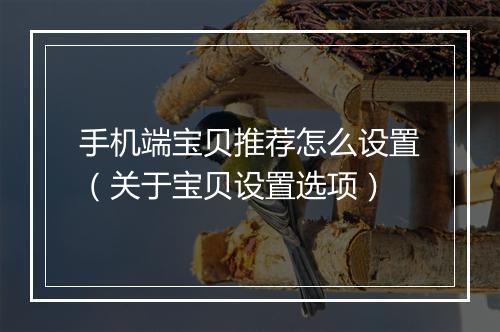 手机端宝贝推荐怎么设置（关于宝贝设置选项）