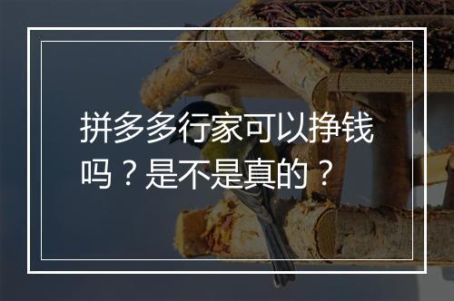 拼多多行家可以挣钱吗？是不是真的？