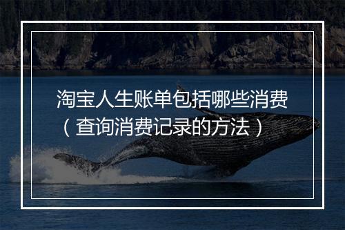 淘宝人生账单包括哪些消费（查询消费记录的方法）