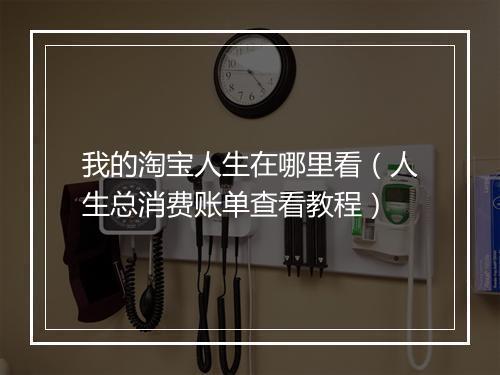 我的淘宝人生在哪里看（人生总消费账单查看教程）