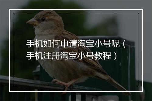 手机如何申请淘宝小号呢（手机注册淘宝小号教程）