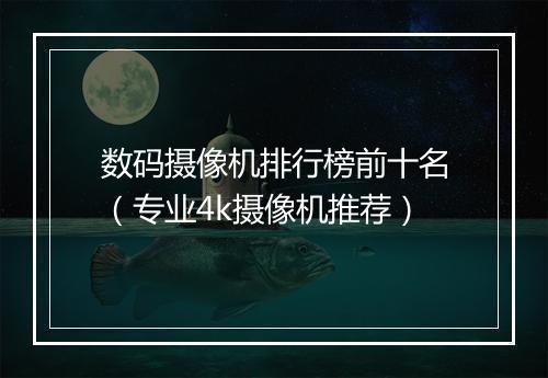 数码摄像机排行榜前十名（专业4k摄像机推荐）