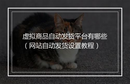 虚拟商品自动发货平台有哪些（网站自动发货设置教程）