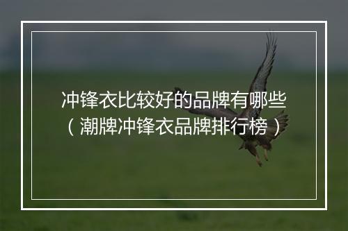 冲锋衣比较好的品牌有哪些（潮牌冲锋衣品牌排行榜）