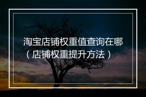 淘宝店铺权重值查询在哪（店铺权重提升方法）