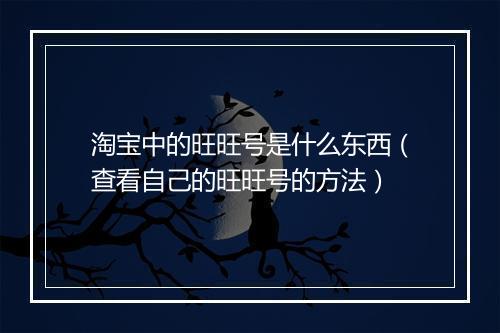 淘宝中的旺旺号是什么东西（查看自己的旺旺号的方法）