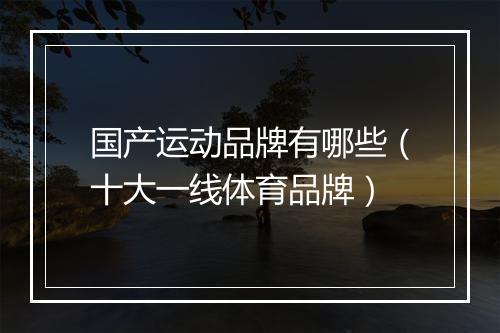 国产运动品牌有哪些（十大一线体育品牌）