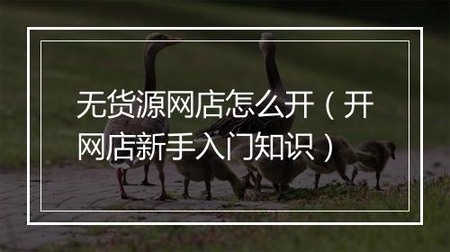 无货源网店怎么开（开网店新手入门知识）