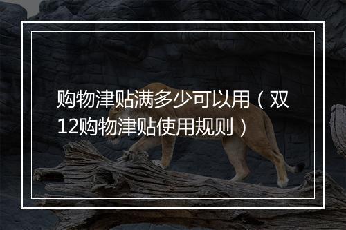 购物津贴满多少可以用（双12购物津贴使用规则）