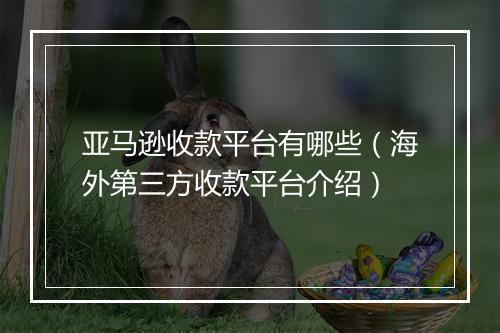 亚马逊收款平台有哪些（海外第三方收款平台介绍）