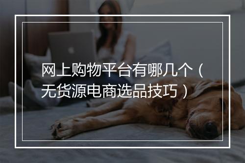 网上购物平台有哪几个（无货源电商选品技巧）