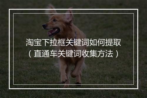 淘宝下拉框关键词如何提取（直通车关键词收集方法）