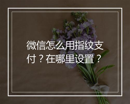 微信怎么用指纹支付？在哪里设置？