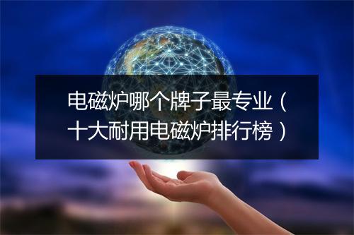 电磁炉哪个牌子最专业（十大耐用电磁炉排行榜）