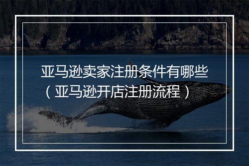 亚马逊卖家注册条件有哪些（亚马逊开店注册流程）