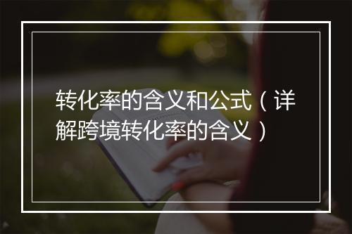 转化率的含义和公式（详解跨境转化率的含义）
