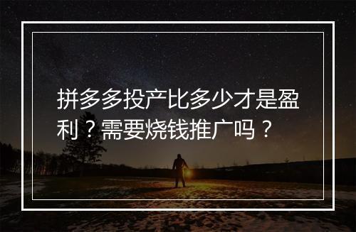 拼多多投产比多少才是盈利？需要烧钱推广吗？