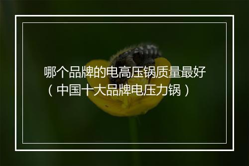 哪个品牌的电高压锅质量最好（中国十大品牌电压力锅）
