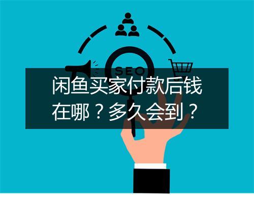 闲鱼买家付款后钱在哪？多久会到？