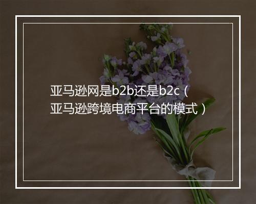 亚马逊网是b2b还是b2c（亚马逊跨境电商平台的模式）
