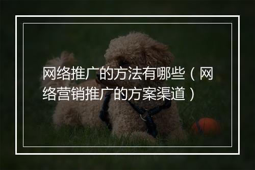 网络推广的方法有哪些（网络营销推广的方案渠道）