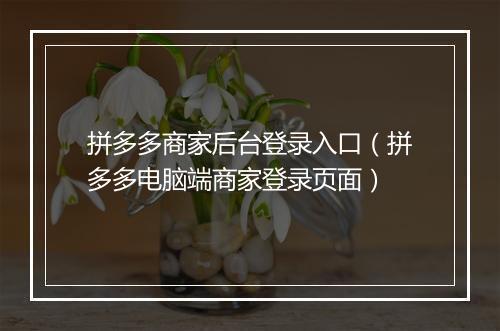 拼多多商家后台登录入口（拼多多电脑端商家登录页面）