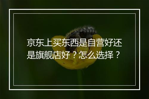 京东上买东西是自营好还是旗舰店好？怎么选择？