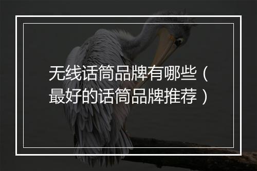 无线话筒品牌有哪些（最好的话筒品牌推荐）