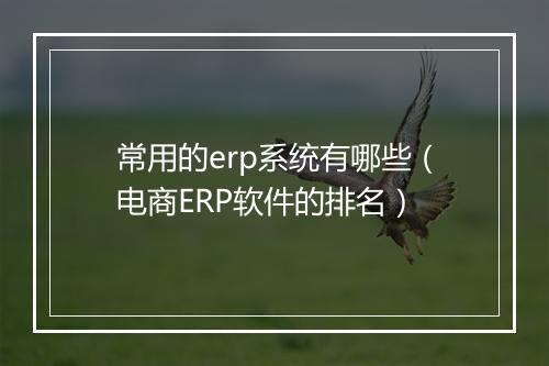 常用的erp系统有哪些（电商ERP软件的排名）