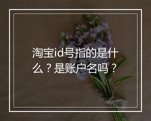 淘宝id号指的是什么？是账户名吗？