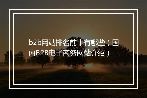 b2b网站排名前十有哪些（国内B2B电子商务网站介绍）