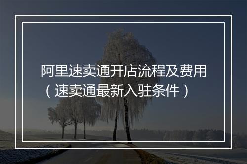 阿里速卖通开店流程及费用（速卖通最新入驻条件）