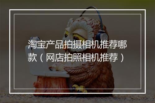 淘宝产品拍摄相机推荐哪款（网店拍照相机推荐）