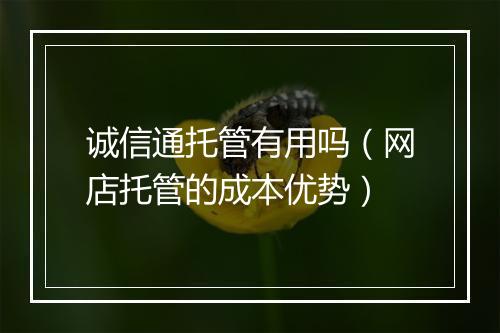 诚信通托管有用吗（网店托管的成本优势）