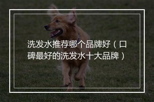 洗发水推荐哪个品牌好（口碑最好的洗发水十大品牌）