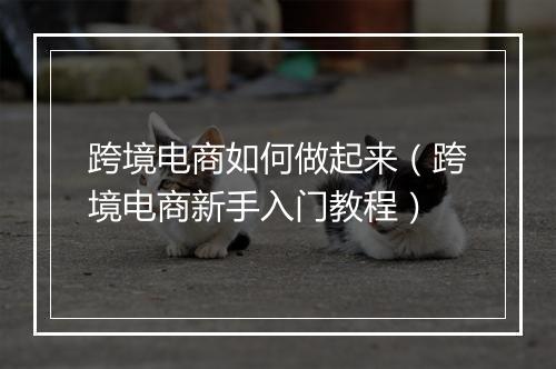 跨境电商如何做起来（跨境电商新手入门教程）