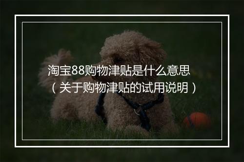 淘宝88购物津贴是什么意思（关于购物津贴的试用说明）