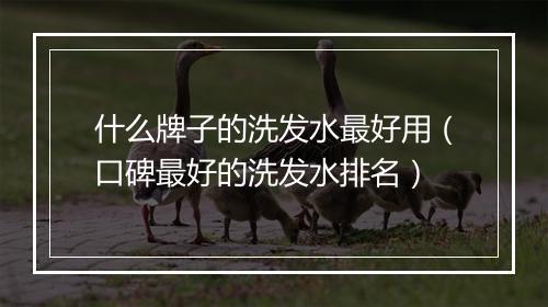 什么牌子的洗发水最好用（口碑最好的洗发水排名）