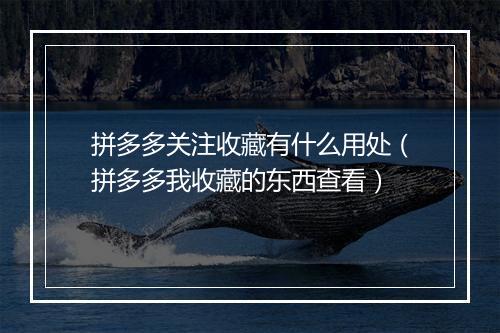 拼多多关注收藏有什么用处（拼多多我收藏的东西查看）